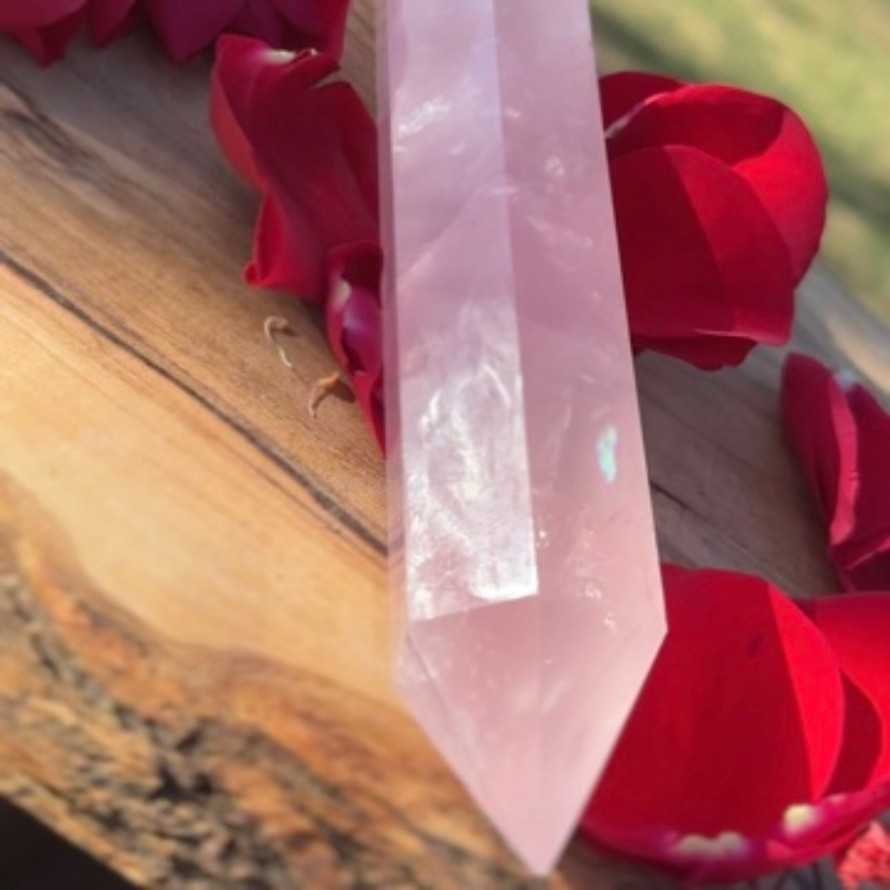 Reiki Infused Massive Rose Quarts 1.5lb-2lb
