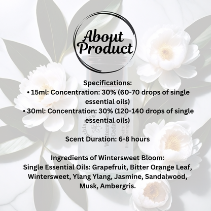 Winter Sweet Cedar Sacred Scent 30 ml